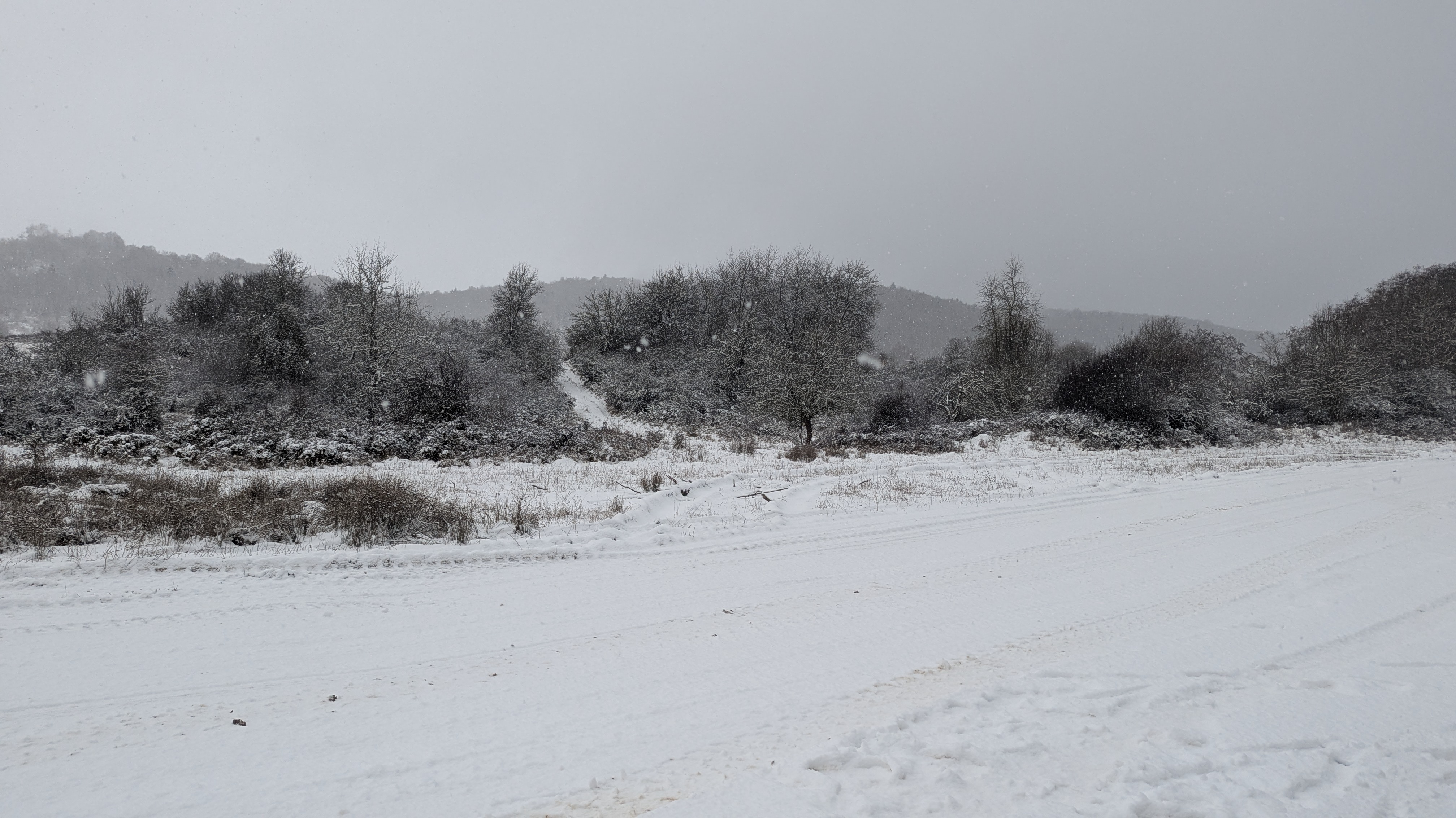 Snowscape, winter field, snow-covered, frost, rural countryside, whiteout.
